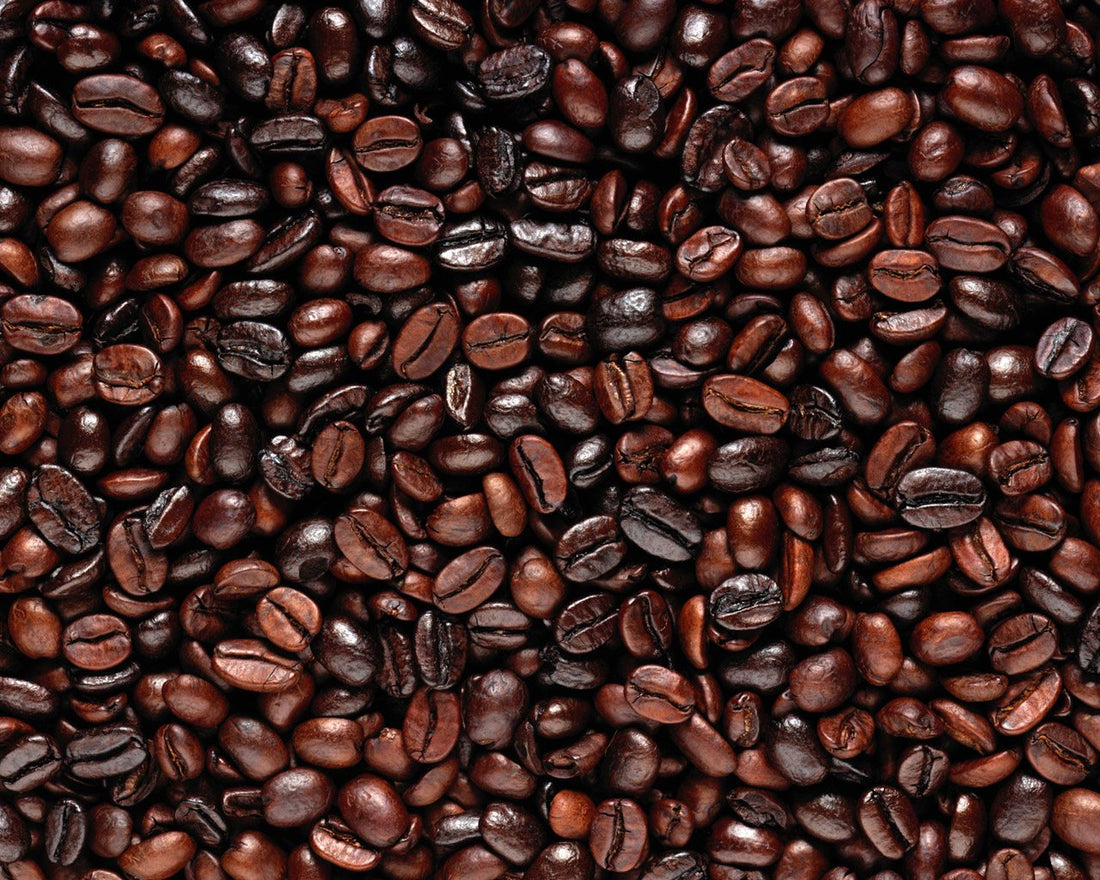 You Do NOT Want Dark Roasted Coffee
