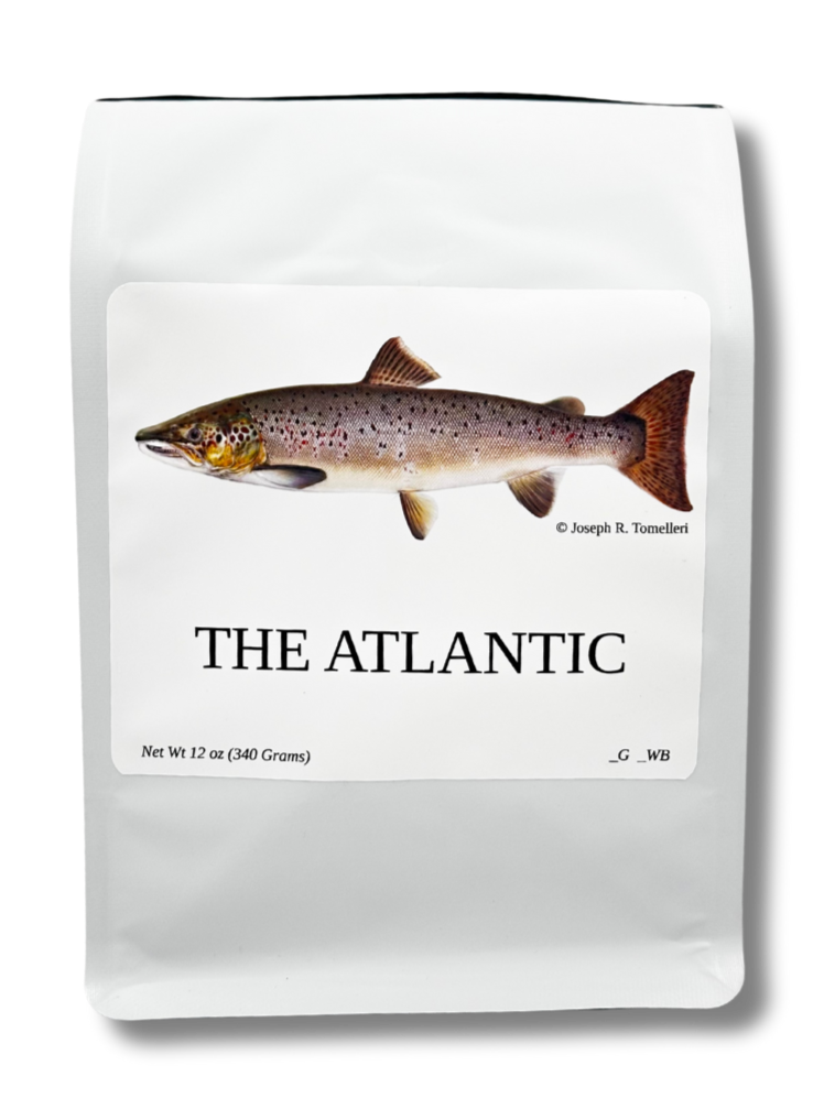 The ATLANTIC