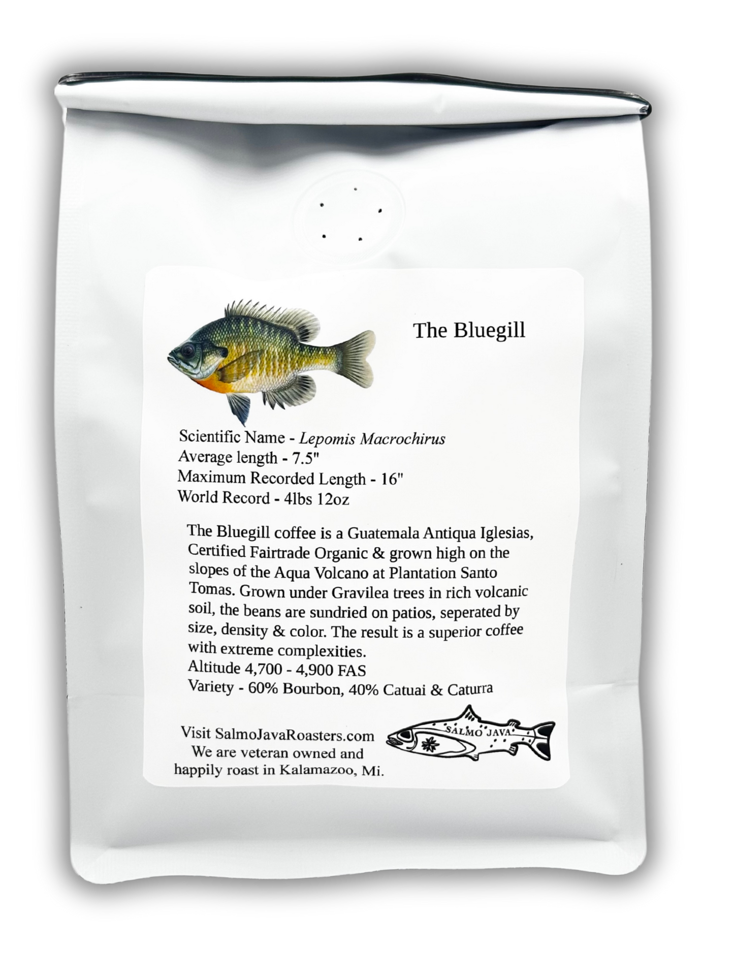 THE BLUEGILL
