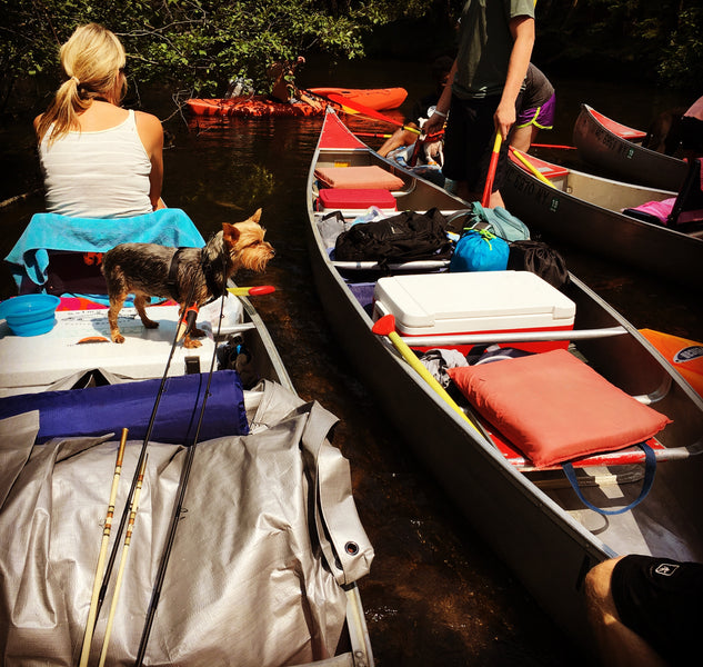 Au Sable River Canoe Trip